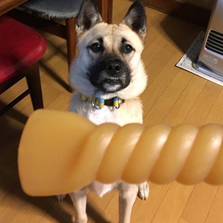 D40bf4ce 60f7 439e a2c0 94126cde5730