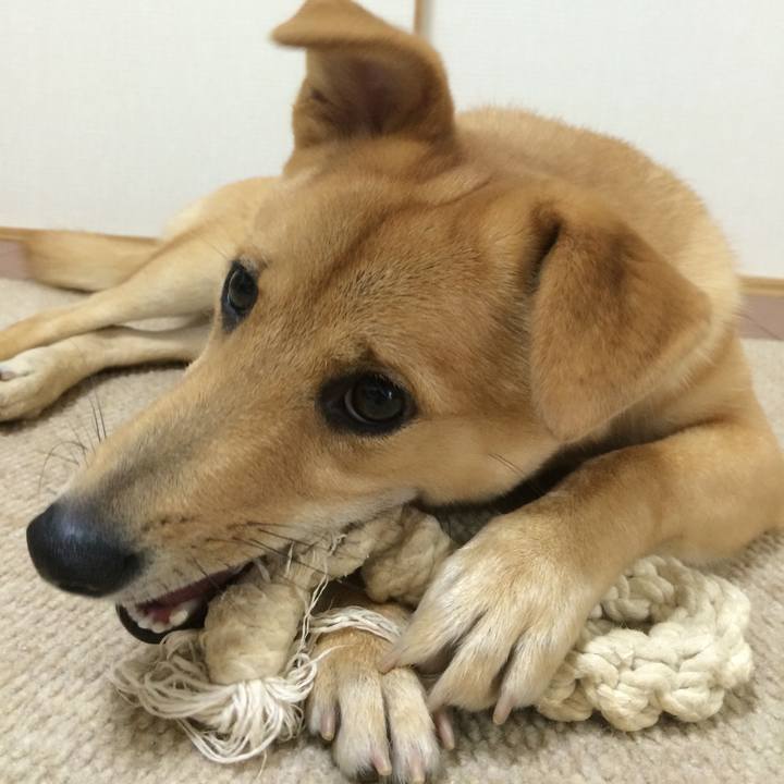 D40c73a5 8281 4a67 971b a8b73a6758fd