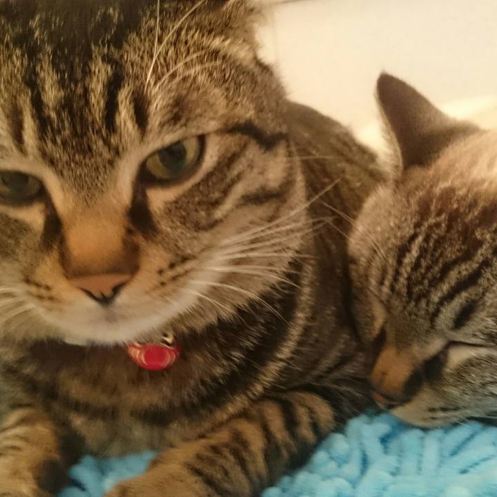 D40c7d40 f6ef 40ed a2ca dc99db54a981