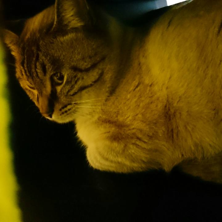 D40cfad5 98ed 4aa8 a6c0 2cdf41d7f23c