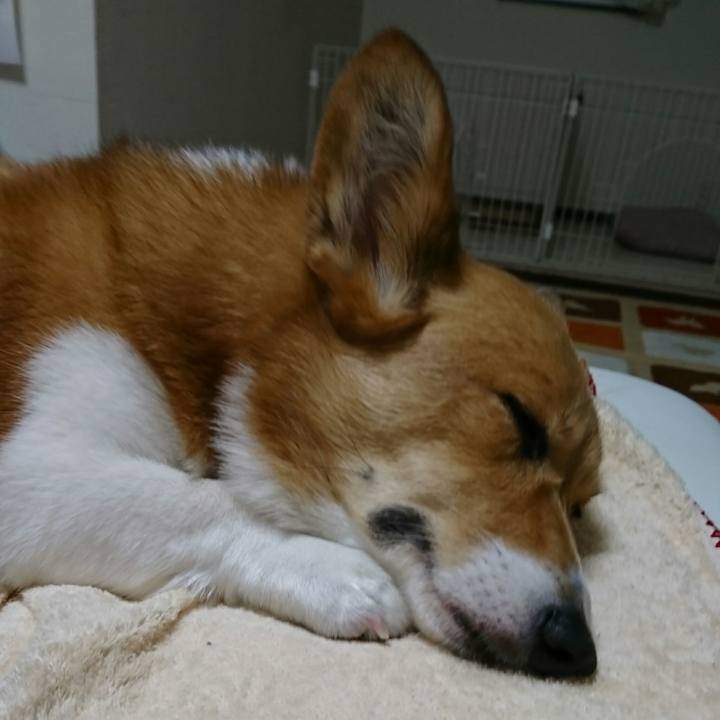 D40da122 4b0e 4654 9372 a74f7560e89a