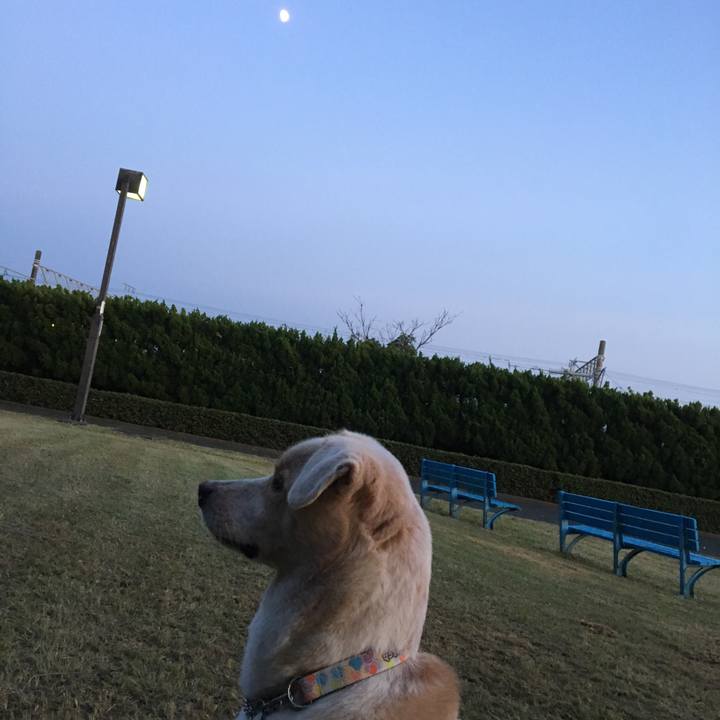 D40db251 d2cd 4cac 9471 5f579bd60eeb