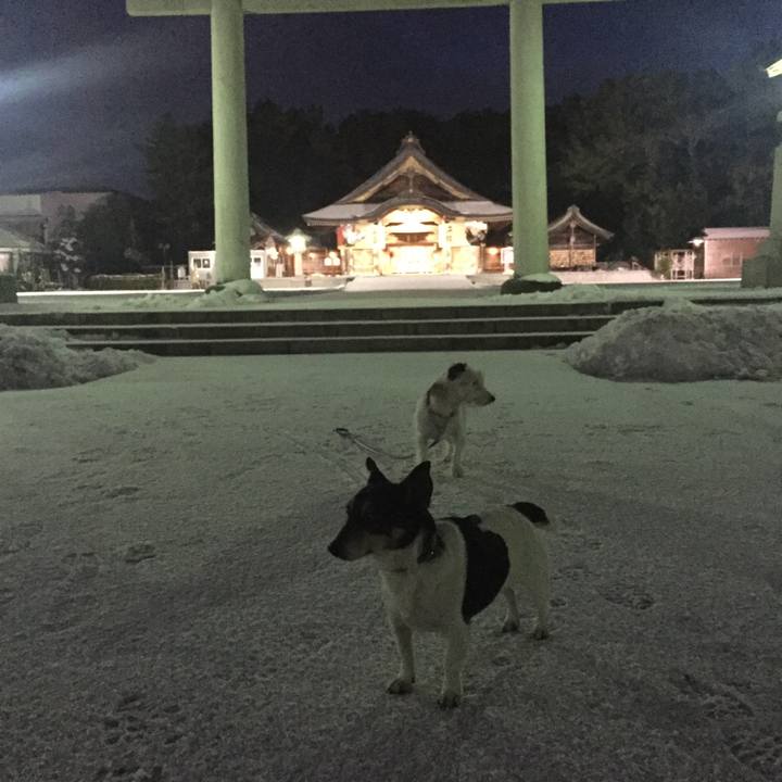 D40e8c95 898d 4918 9367 dfe9328783e4