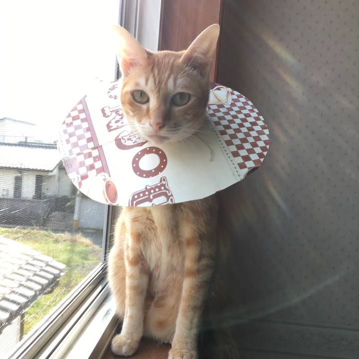 D40ea260 85fd 4a1d ae23 3907a04f947a