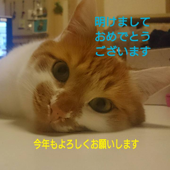 D40f311c c1ee 4f1b bc4f 88383727c020