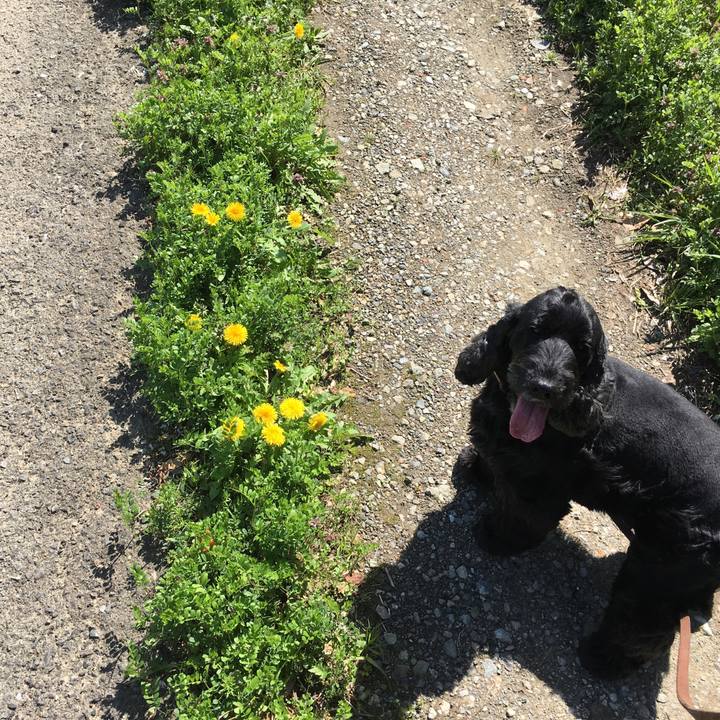 D40f473a 46fa 40c5 8437 367b4cf74304