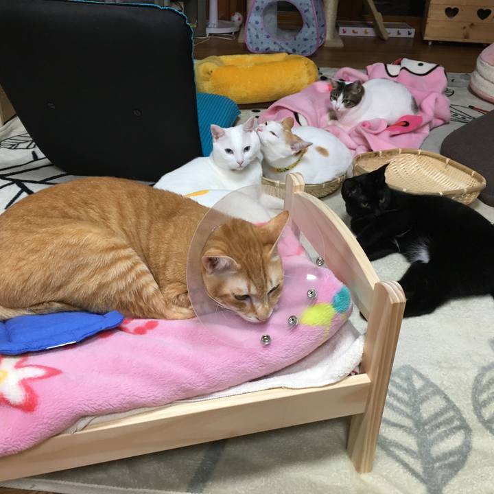 D40fba66 e7ee 4244 905a c27271a1c1b2