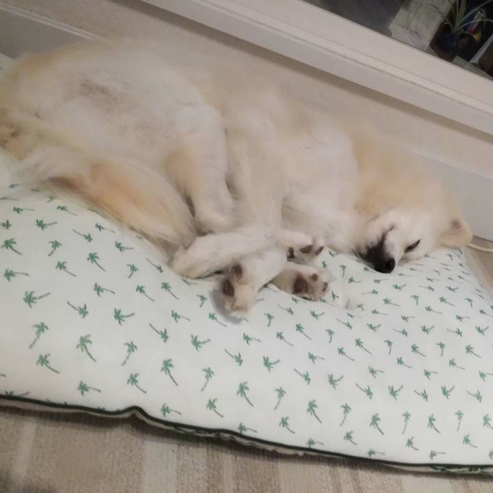 D40fd8fd 355c 4507 82c6 7a1a7109fcfe