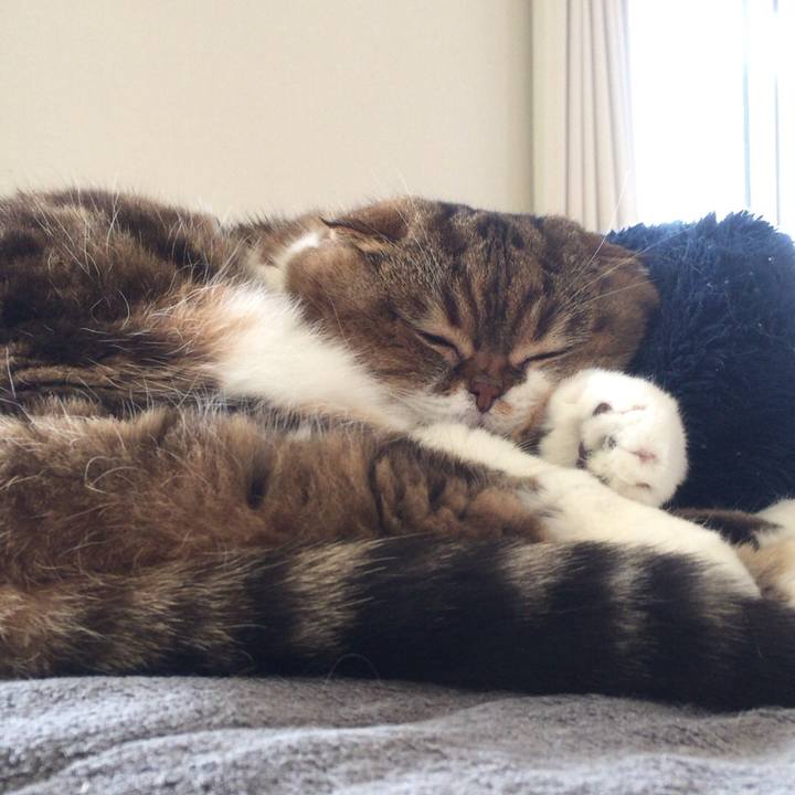 D41017d3 5f94 4a9c bfdb 6f37f3f25a06