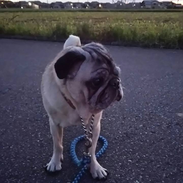 D4102b76 0837 4a9f aca0 d9786fd1ea0d