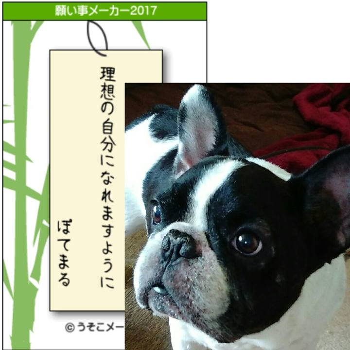 D41045b0 0700 477d bfdf 7d6895a1813f