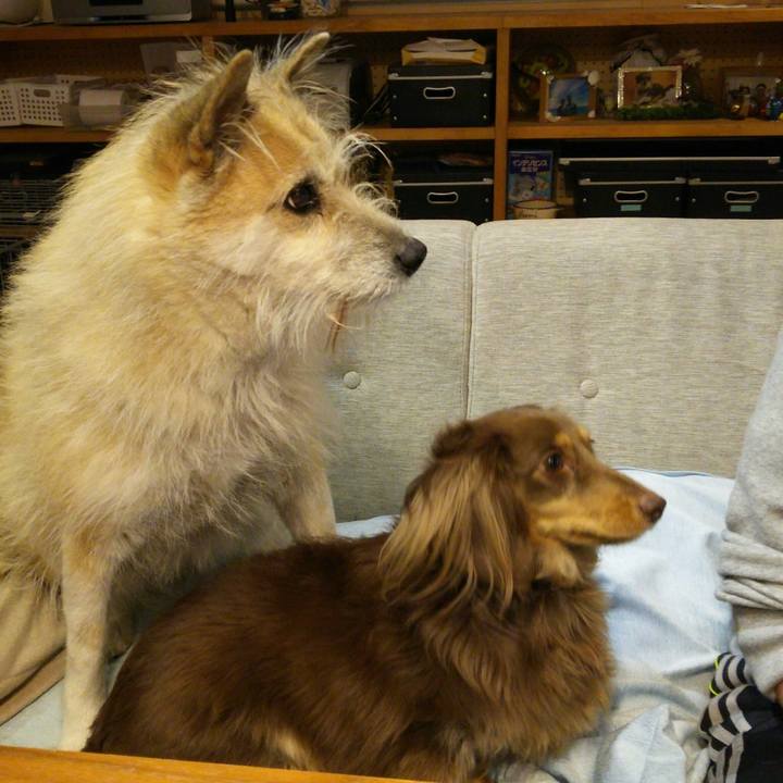 D41074b3 3cb5 4fb5 8fdf 092ae2ffa064