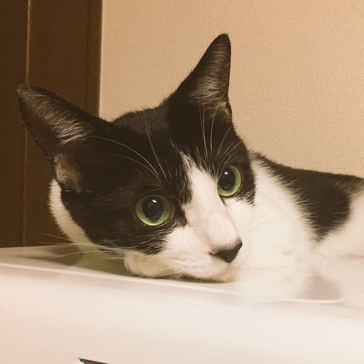 D410ad1d 046c 408c 890b 508ae2ad9aa1