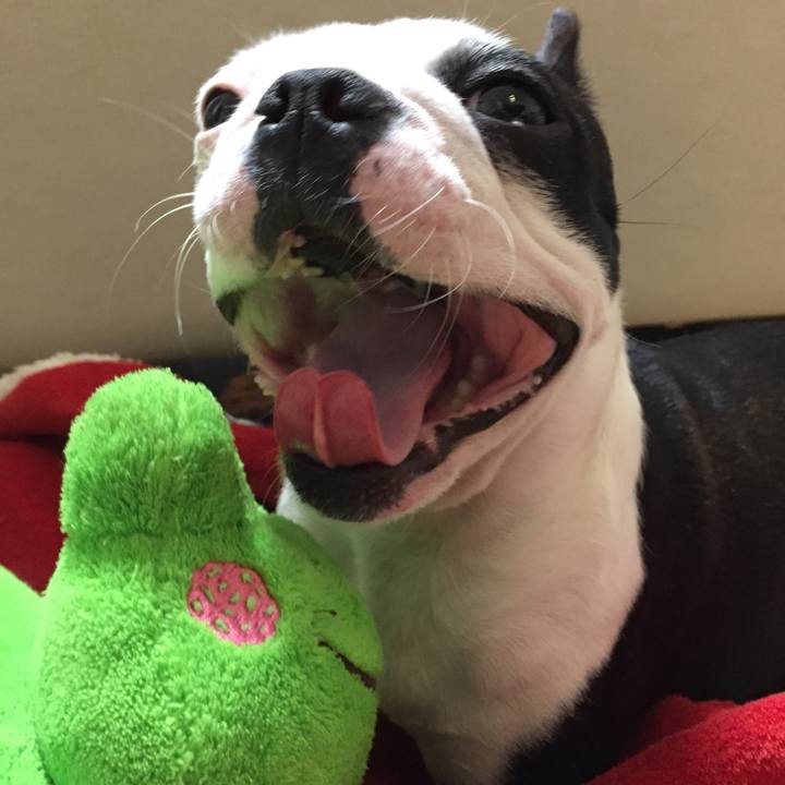 D41155b3 a466 42f4 a865 60dbce462d1f