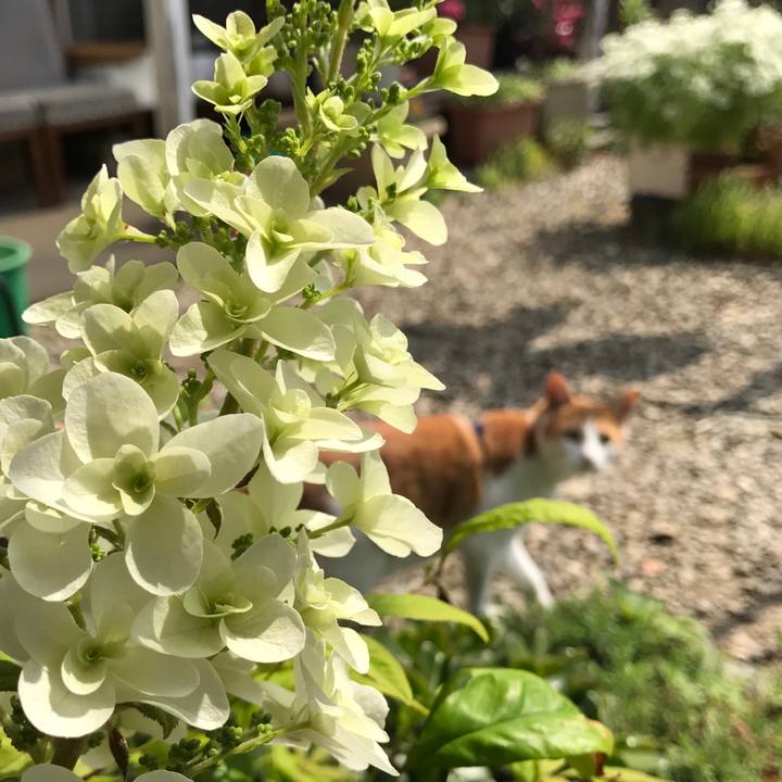 D4119e8c 22ef 4b4f 8463 00b180c7afdf