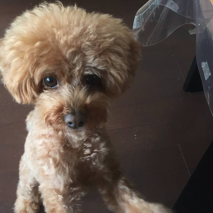 D411e46b 2f81 411e a58b 6475ddba0886