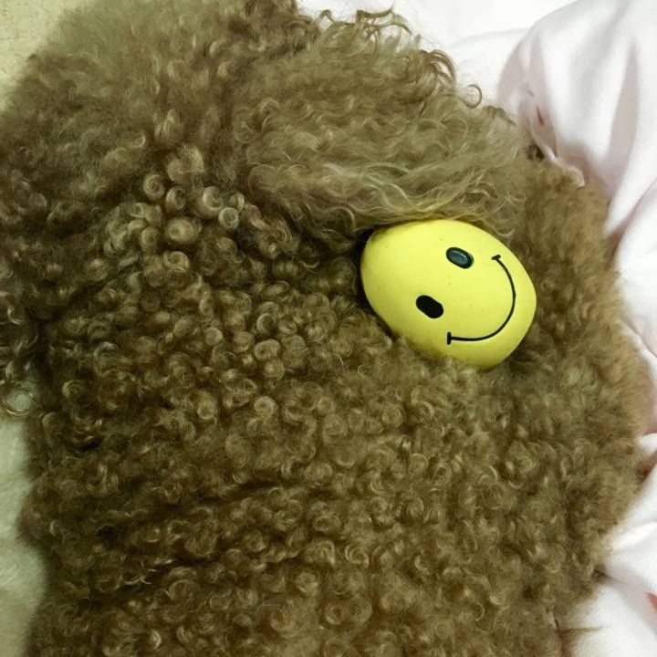 D411ebbf 71ba 4014 8380 21e71e710c90