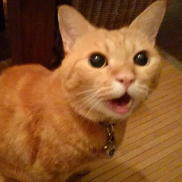 D412751d 74e7 4dd5 bd24 7f4f1a5be9cd