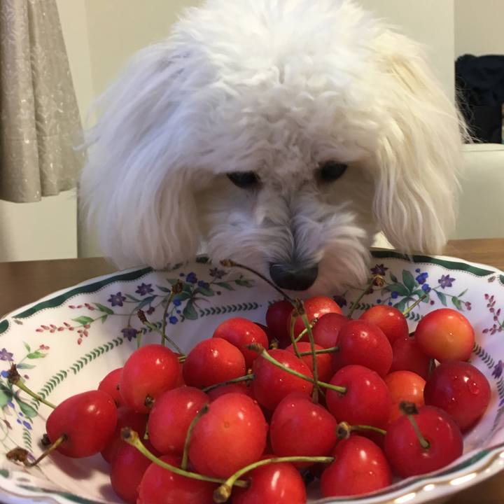 D412872c 874d 4f91 ba03 9bc78f7d615f