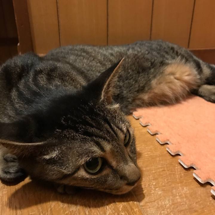 D412eec4 2e95 4adc 8514 f2a3db956986