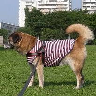 D4132a43 b9d6 457e 904b 9c5d0120fbe9