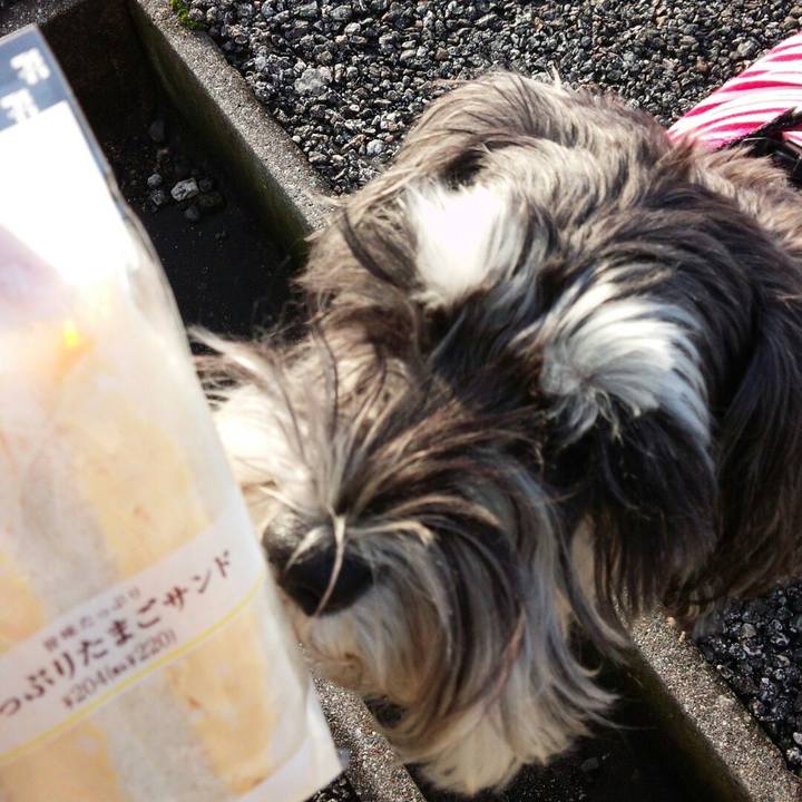 D4135b9d 8587 4b43 9fe9 ab9e98ef7ca9