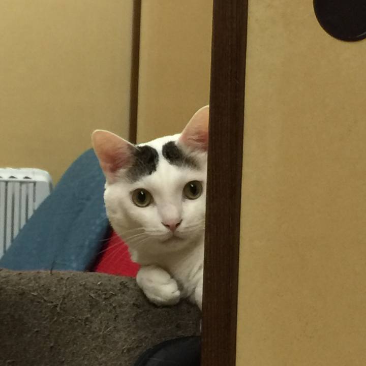 D413b65d e75c 46ec b117 e2e693e9c7a9