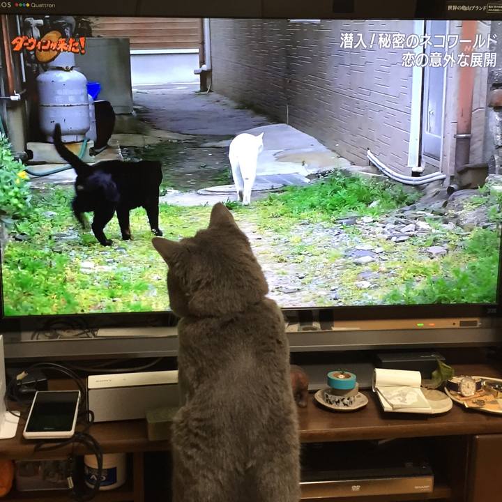 D413e325 52ef 4709 b53e 75e8bf04784a