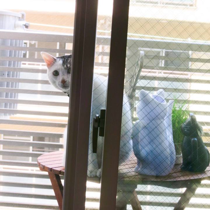 D4145a0e 9ea0 4197 9094 cabcad625da1