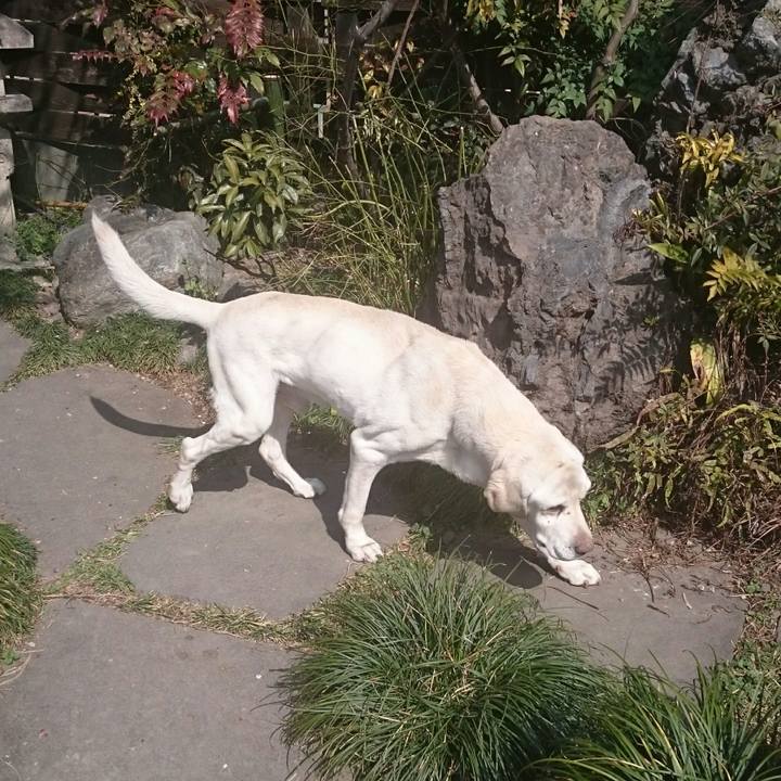 D4149bd0 9811 466a 9d03 2280da789323