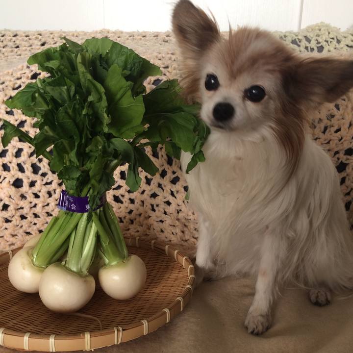 D4150f71 71ec 4dcd 85a9 ee28df366ca7