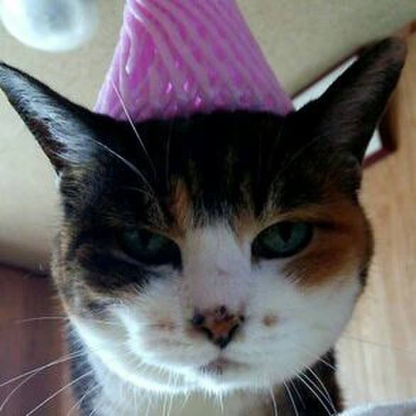 D415306b c08d 4362 ba73 091985e0ef29