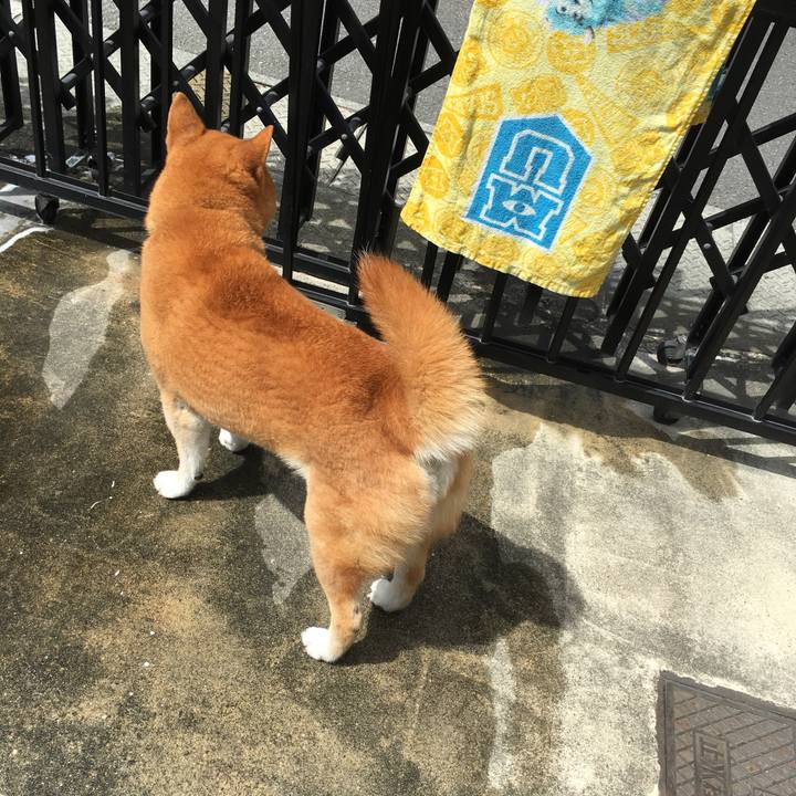 D4164cb8 96cf 418e a173 322143086725