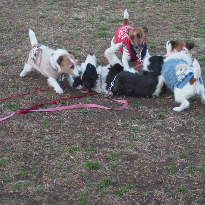 D4167280 967e 45a6 8988 65f1dbcd2408