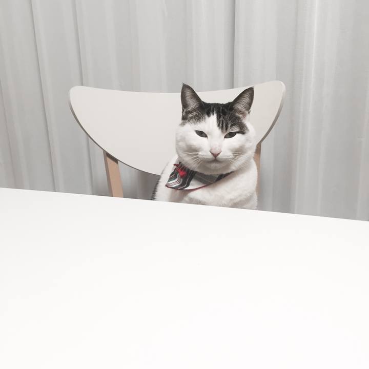 D4168596 6cf6 4e44 9eec dd976aedf736