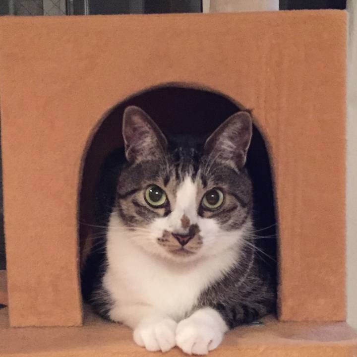 D4169e47 6706 46b9 9540 a82c03d22d28