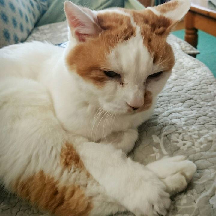 D416f840 85d8 4c89 bc3d e7d6e48544e3