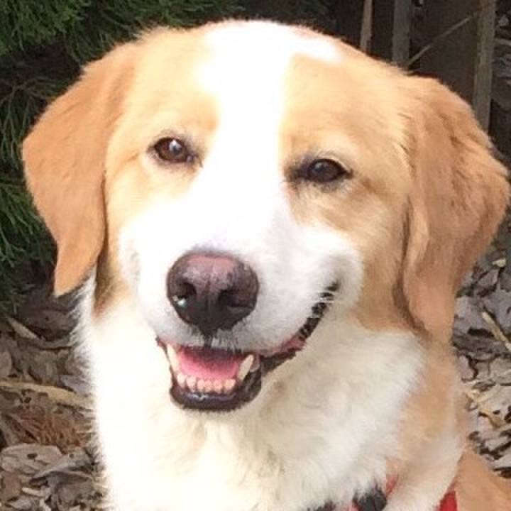 D41726e0 6a50 4865 b431 9746e576a668