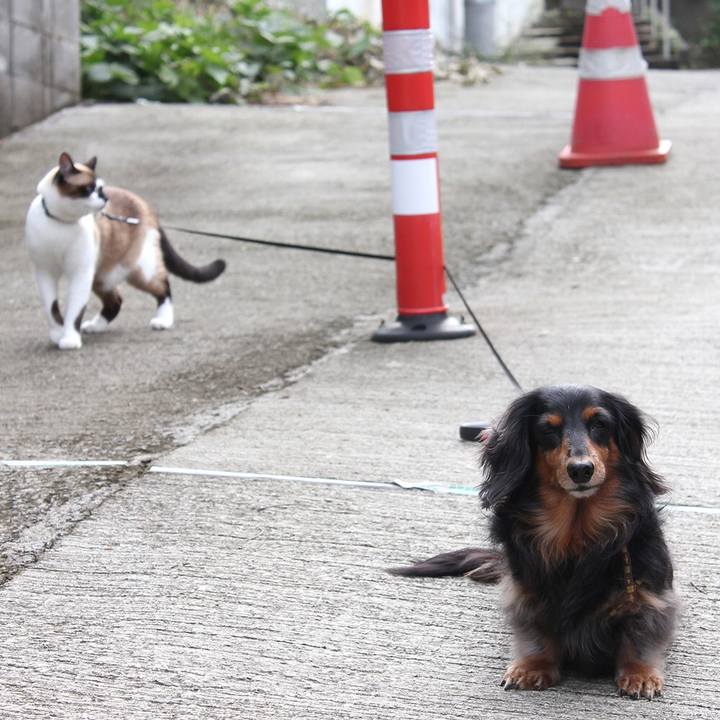 D4180096 369a 4913 a2d6 7ed3c02c5ce4