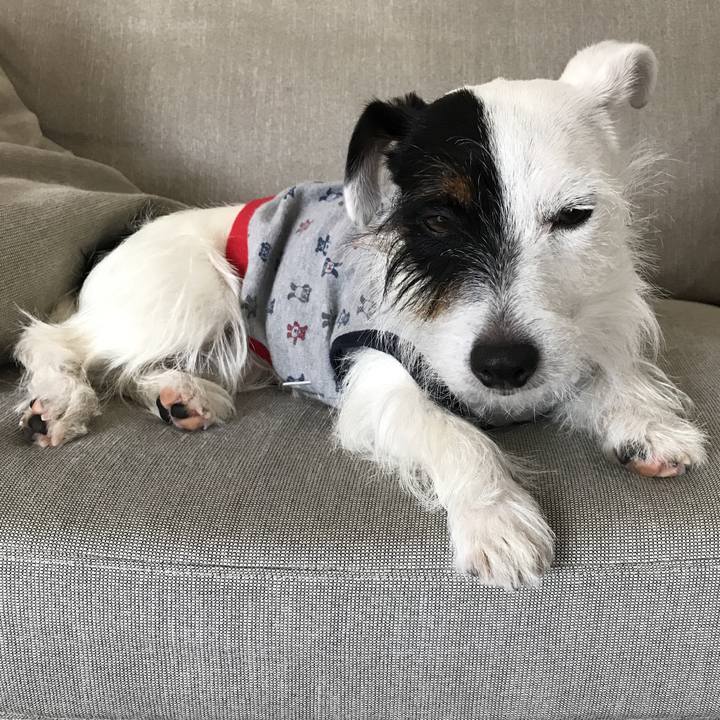 D4182fed f5a2 4a33 84c7 575f8590d9d1