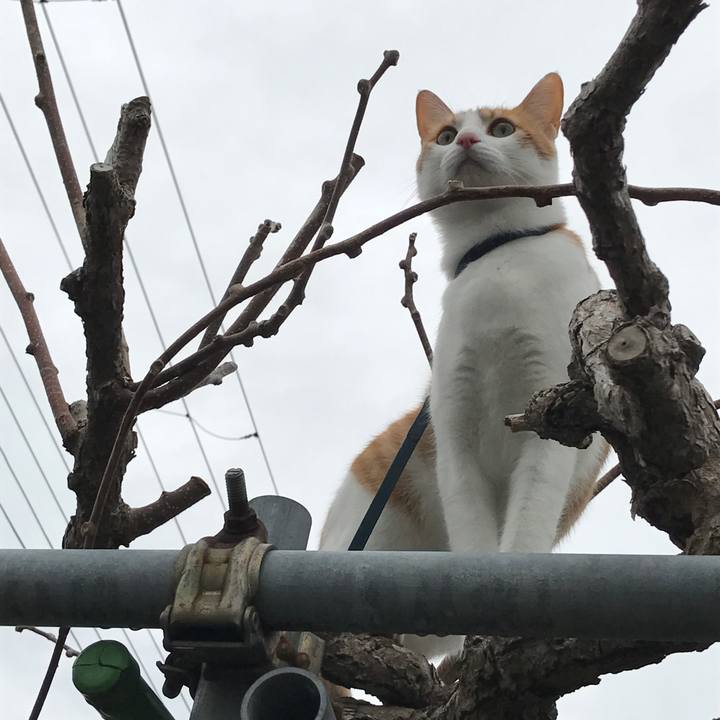 D41886f8 e50c 4aa3 bd1e 7fc03b0e8e52