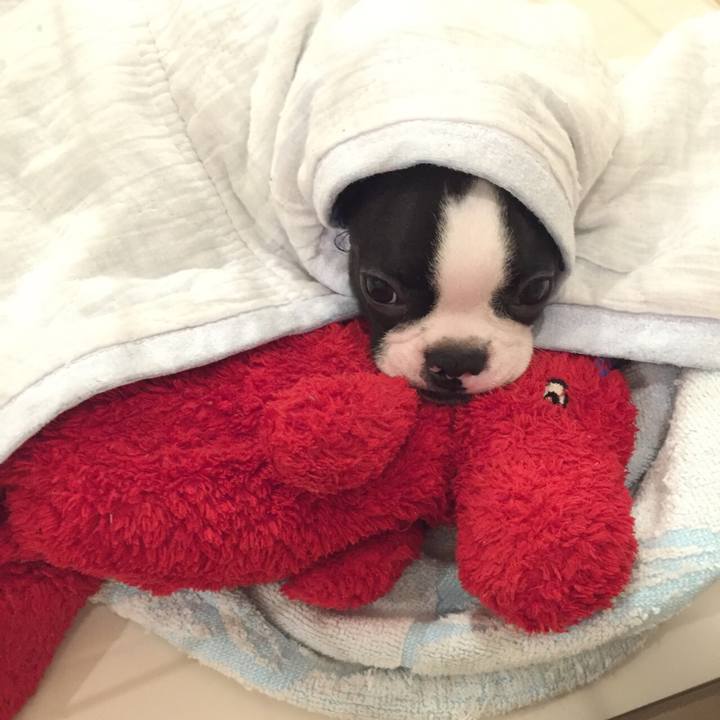 D4188cd3 26a5 4a99 bc83 842bf23f2acf