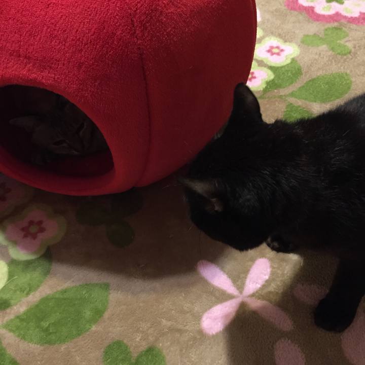 D4189847 2d3c 4943 99a5 44c3197cacc6