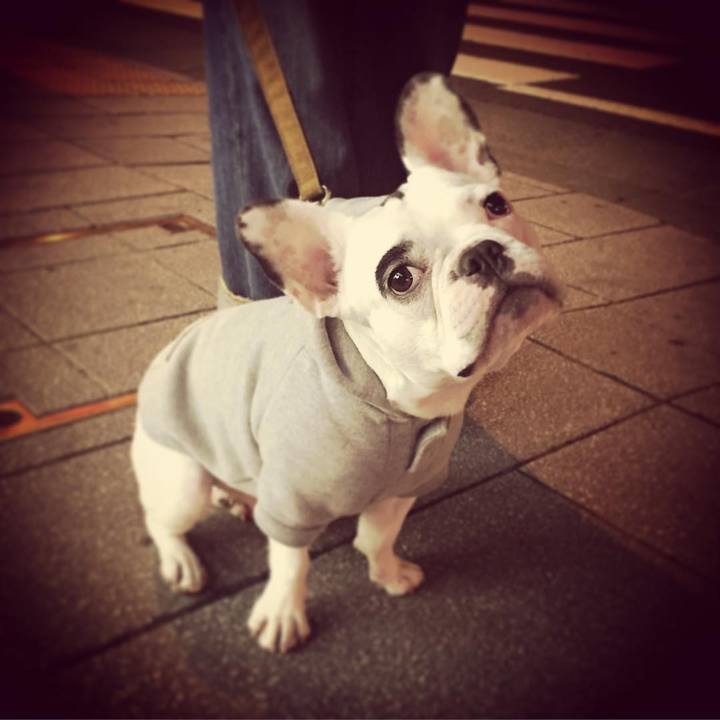 D4189ce4 9504 4b3f 915e 7b8f99e7bf91