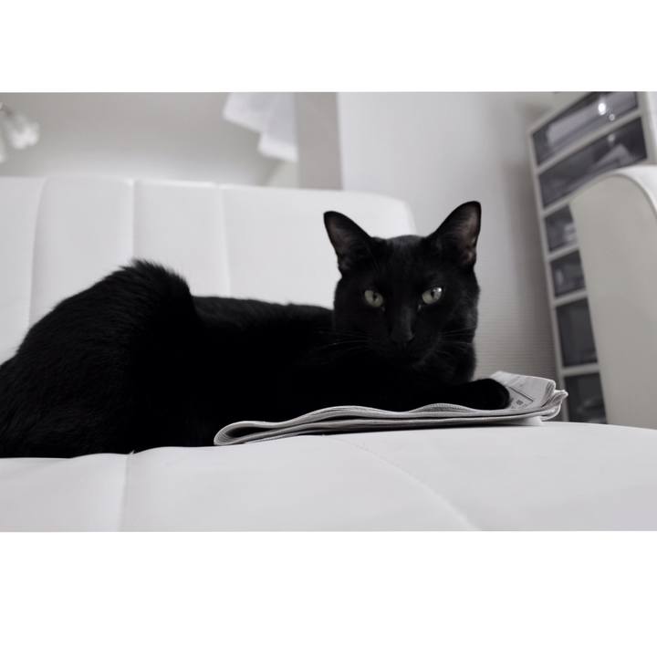 D418f6a9 05aa 47e9 99f1 7c38ebc88a24