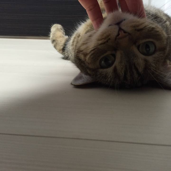 D419e837 94c8 41a1 b259 c4043ac6084d