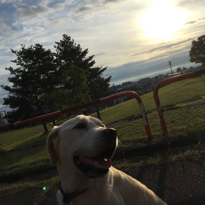 D41a3e1a 05a1 4cff afb4 e19f5cf36010