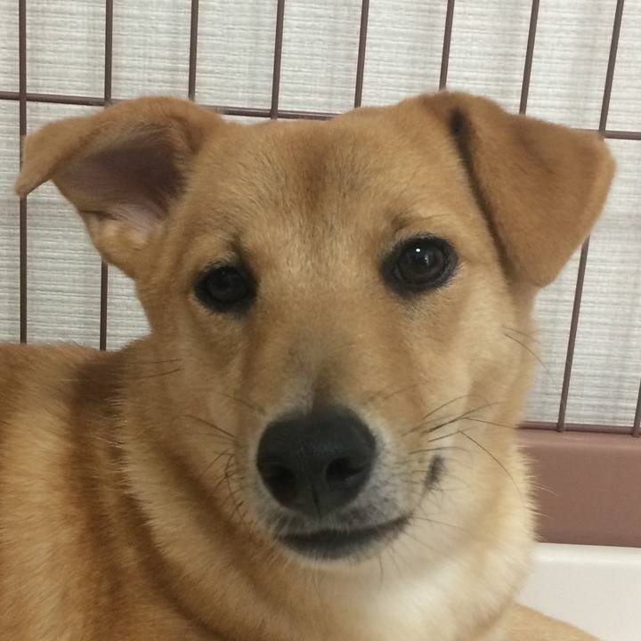 D41a5144 d567 42fc baf0 445313c4c16b