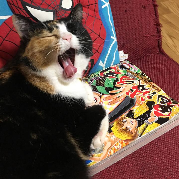 D41a5e22 4ea1 4a8c 921b 5ad4ac4938a6