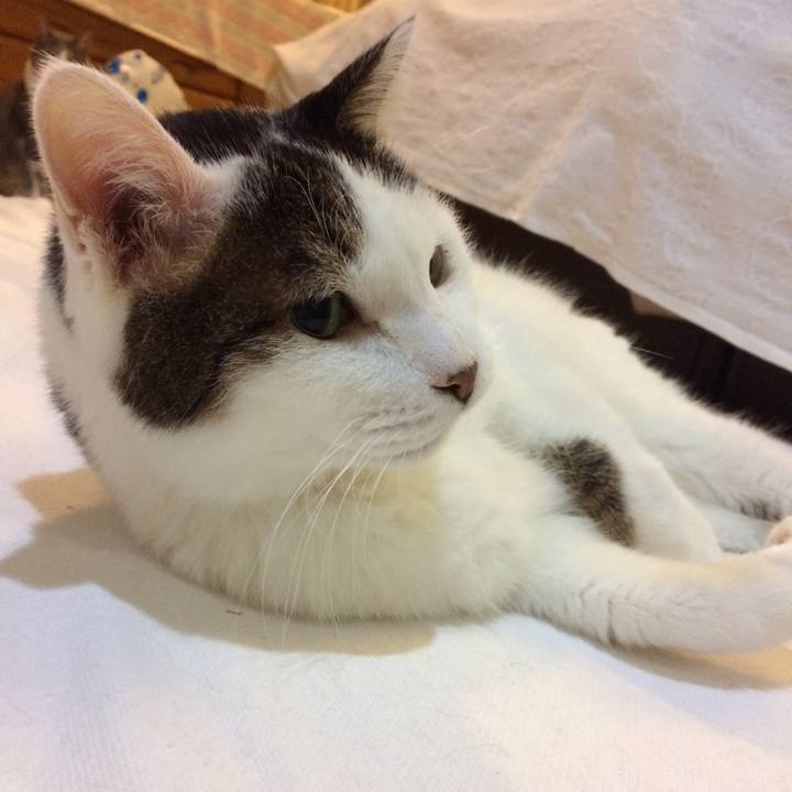 D41a5fd8 5f96 44a2 b78d 71ce5c52edcf